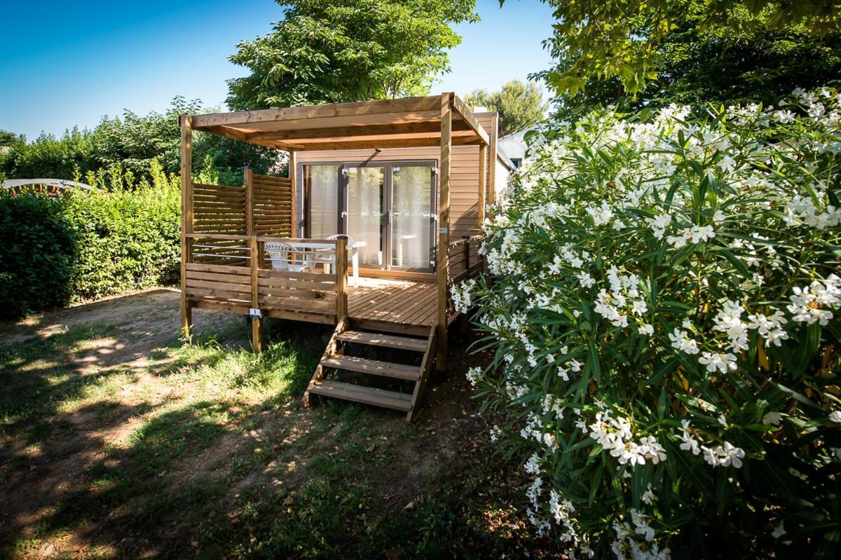 Camping Parc Mogador Sanary-sur-Mer Dış mekan fotoğraf